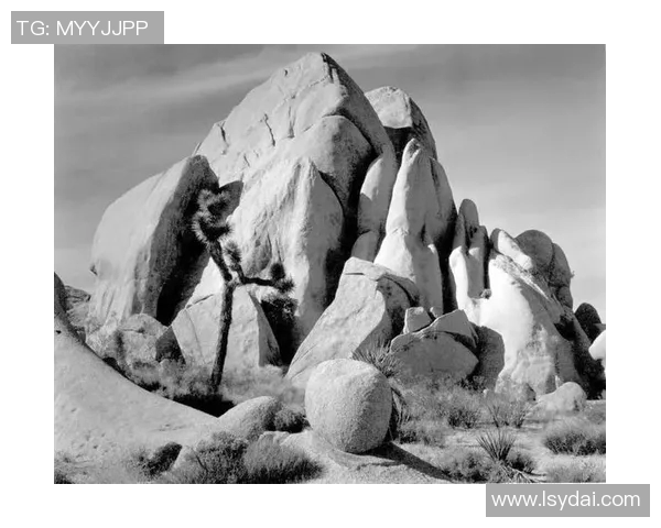 亚当斯的传奇旅程探索他在科学与艺术领域的卓越贡献与影响